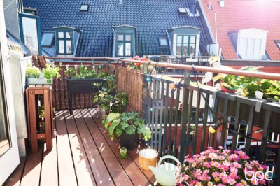 Creating a Summer Balcony Garden